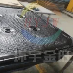 JWFFP1516 Резиновая диафрагменная фильтровальная плита (6)